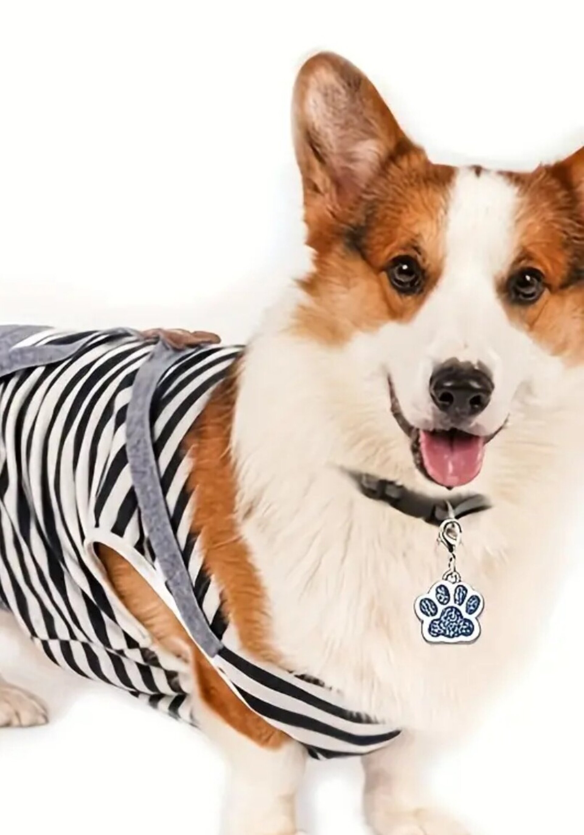 Llavero Huella Gato Y Perro - 2